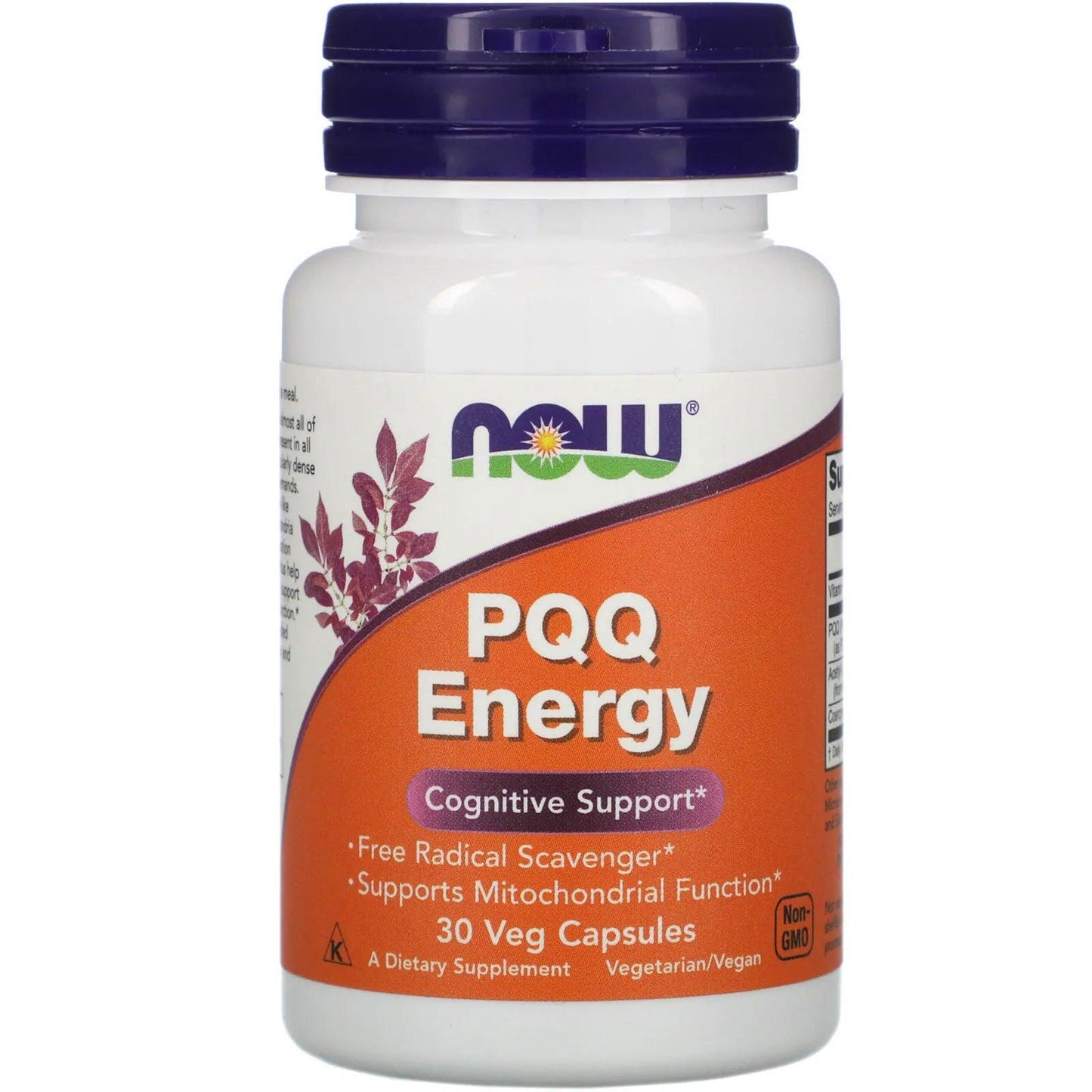 Now PQQ Energy Veg Capsules - Brivane